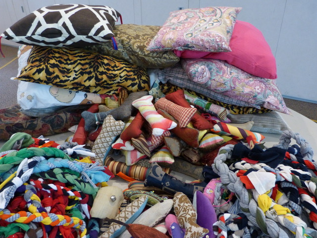 Piles of cat & dog beds and toys to be donated!