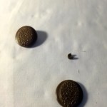 Broken Shank Button